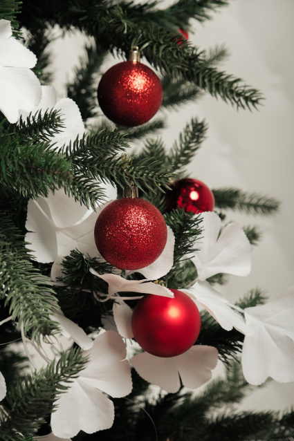 О нас – фото № 29