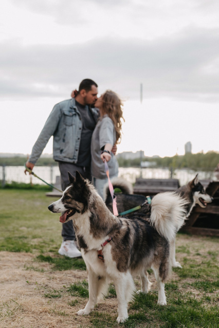Фотосессия с питомцем — трогательные кадры с вашим любимцем – фото № 10